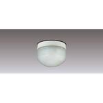 直付HACCP低天LED非常灯専用形 東芝ライテック