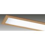 F-42115N システムユニット・木製枠・乳白 東芝ライテック