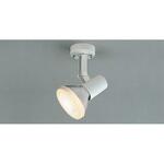 スポットライトビーム白色フランジ 東芝ライテック