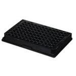 12-566-620 Fisherbrand(TM) 96ウェルポリスチレンマイクロプレート 12シリーズ Thermo Fisher Scientific
