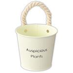 ハッピープランツブリキバケツ HEADS(ヘッズ)