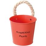 ハッピープランツブリキバケツ HEADS(ヘッズ)