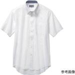 半袖ボタンダウン 白 15064-32シリーズ ジーベック