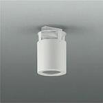 直付/吊ボルト/レースウェイ取付用 DAIKO(大光電機)