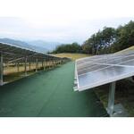 緑化マルチフェルトVer.600 小泉製麻