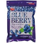 【冷凍】業務用 ライフフーズ ブルーベリー 500g ライフフーズ
