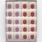 亀の最中 20個入 龍屋