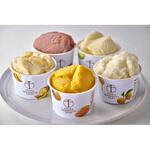 【冷凍】銀座千疋屋 銀座プレミアムソルベ10個 銀座千疋屋