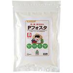 Pフォスタ ミズホ