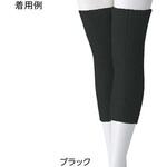 38915 シルクと綿の二重編みサポーター・レギュラー 2枚組 フリー 38915シリーズ ケアファッション