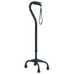 4点杖 ナビス(アズワン)