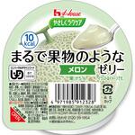 86877 やさしくラクケア まるで果物のようなゼリー 個 メロン ハウスギャバン