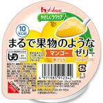 86879 やさしくラクケア まるで果物のようなゼリー 個 マンゴー ハウスギャバン