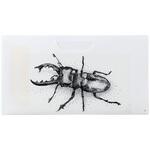 マスクホルダー点描セット アーテック[学校教材・教育玩具]