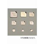 板状分銅 ステンレス 基準分銅型 (F1級)JCSS校正証明書付き 大正天びん製作所