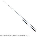 25 極鋭テンヤタチウオ DAIWA(ダイワ)