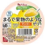 まるで果物のようなゼリー マンゴー ハウスギャバン(旧:GABAN)
