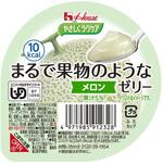 まるで果物のようなゼリー メロン ハウスギャバン(旧:GABAN)