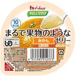 まるで果物のようなゼリー みかん ハウスギャバン(旧:GABAN)