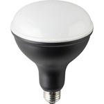 rf220v450wh」のおすすめ人気ランキング【通販モノタロウ】