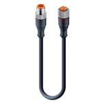 12019 RST 5-RKT 5-228/0，6 M センサアクチュエータケーブル コア数：5 RSTシリーズ Lumberg Automation