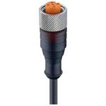 51487 RKT 5-289/2 M センサアクチュエータケーブル コア数：5 RKTシリーズ Lumberg Automation