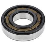 6310 M/C3 ボールベアリング50mm110mm 深溝6310 M/C3 SKF(日本エスケイエフ)