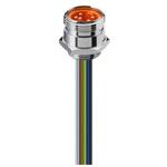 108904 RSF 50/11-04/0，5 M 丸型コネクタ 5極 108904 RSF 50/11-04/0 5 M Lumberg Automation