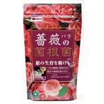 薔薇の菌根菌 自然応用科学