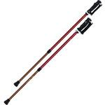 もっと安心2本杖(2本1組) シナノ