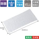 ライトダスター ウェット45 テラモト