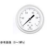 グリセリン入圧力計(60Φ) GV55-673シリーズ 長野計器