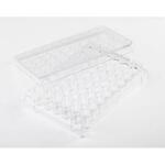 Fisherbrand 細胞培養マルチディッシュ FBシリーズ Thermo Fisher Scientific