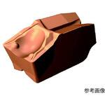 QFTK060004TF コロカットQFチップ(320)1セット(10個入) QFTK060004TFシリーズ サンドビック