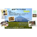 涼味唐船峡めんつゆ 500ml 15本入り 唐船峡食品