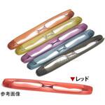 SG-01RD 老眼鏡 折りたたみ ポッドリーダー レッド SG-01RDシリーズ I.L.K(池田レンズ工業)