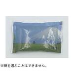 保冷剤 キャッチクール 富士山 トライ・カンパニー 1ケース トライ・カンパニー