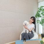 サイレントボード フルネス