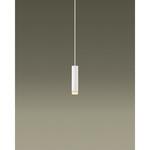 配線ダクト取付型 LED ペンダント ビーム角48度・集光タイプ LEDコンパクトランプ交換型・調光タイプ(ライコン別売) Panasonic(パナソニック)