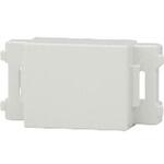 ブランクチップ 塗装品 神保電器