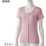 婦人フライス杢半袖 ホックインナー 97609シリーズ ケアファッション