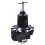 20AG-X4-100 サービスキット 20AGシリーズ NORGREN