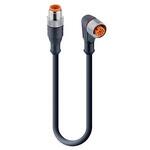 11871 RST 4-RKWT/LED P 4-225/3 M センサアクチュエータケーブル コア数：4 RSTシリーズ Lumberg Automation
