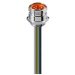 11636 RSF 50/13，5-04 丸型コネクタ 5極 11636 RSF 50/13 5-04 Lumberg Automation