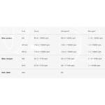 (受注発注品)[EC仕様]RACING (3-1) チタン AKRAPOVIC (アクラポビッチ)