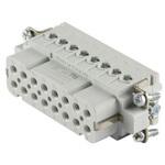 C14610B0161024 電源コネクタインサート 16極 16A 250 V AMPHENOL