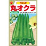 【種 たね タネ】やわらか 丸オクラ おくら オクラ アタリヤ農園