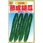 【種 たね タネ】中生青長 節成胡瓜 きゅうり キュウリ アタリヤ農園