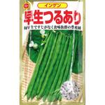 【種 たね タネ】インゲン 早生つるあり いんげん アタリヤ農園