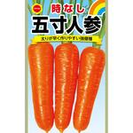 【種 たね タネ】時なし 五寸 人参 アタリヤ農園